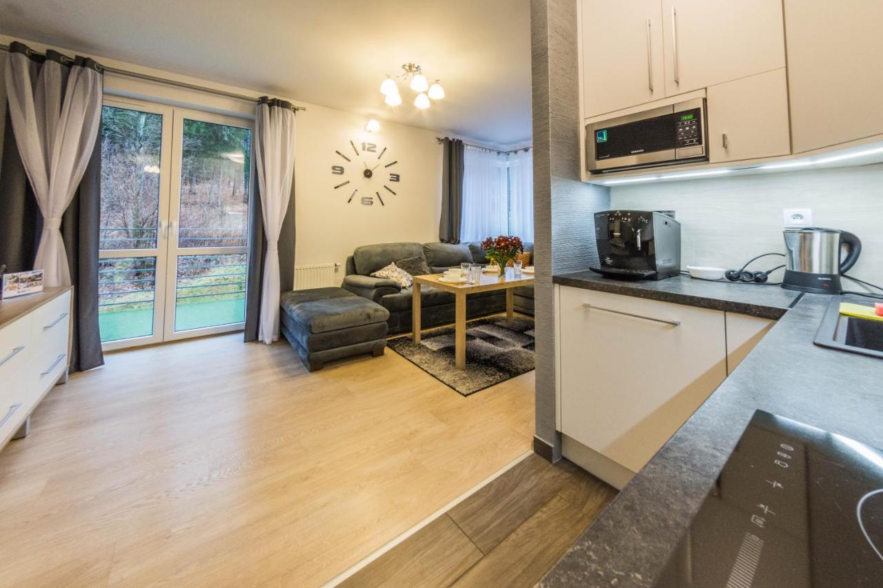 Apartamenty Izerskie - Ul. Cicha 13D-E Świeradów-Zdrój 外观 照片